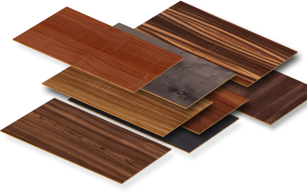 amazing caves coverimage